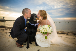 NJ Wedding Photographer - Jill and Richard's Wedding at Brant Beach Yacht Club