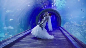 Elizabeth and Kyle's Wedding Videography at Adventure Aquarium