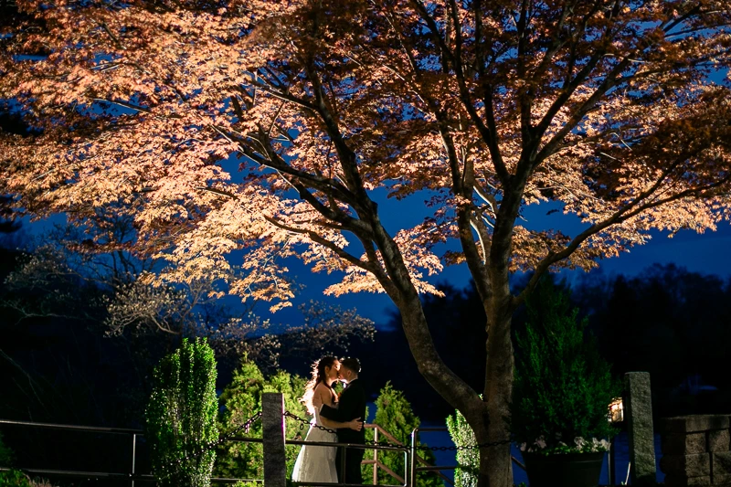 A dreamy embrace beneath the tree at The Pavilion on Crystal Lake wedding photos