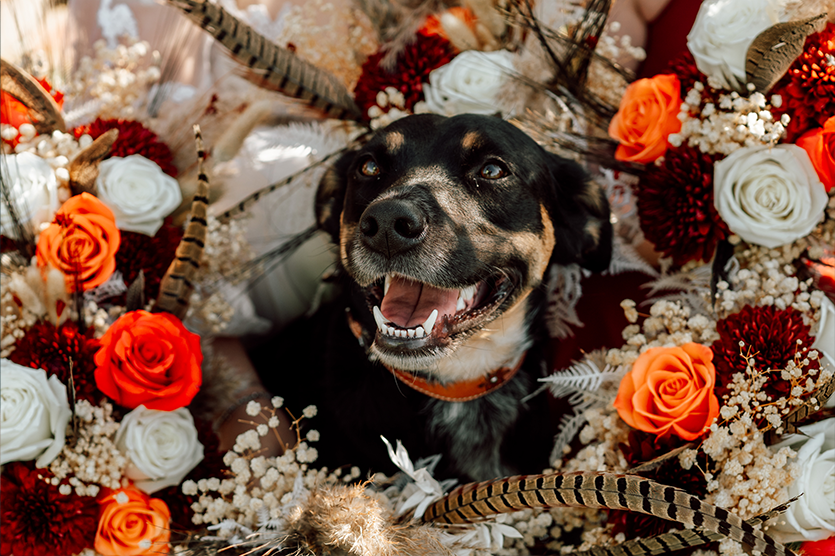 Fall wedding photos and videos